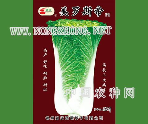 美罗斯帝